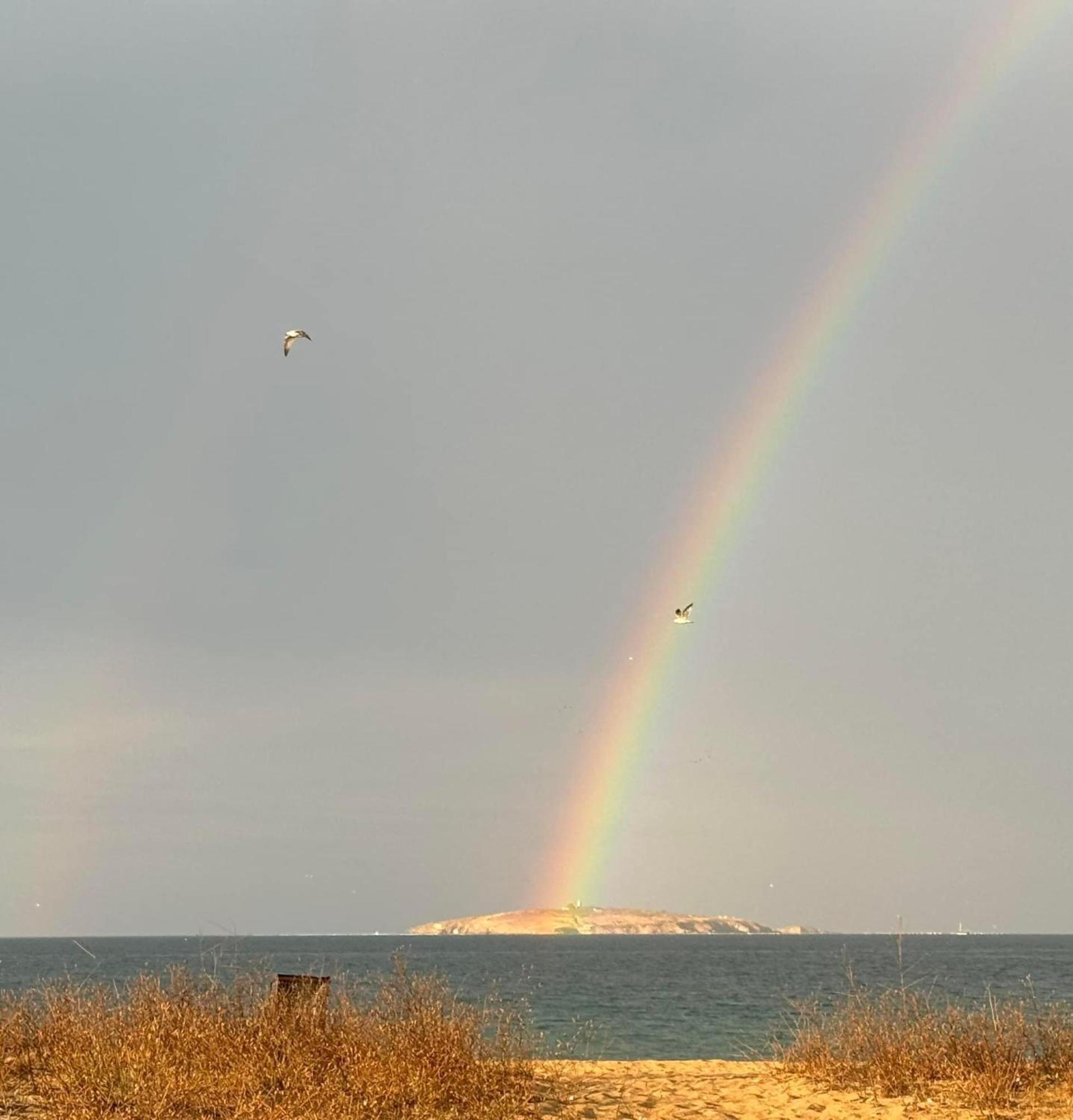 Къмпинг градина луксозен апартамент Черноморец Экстерьер фото